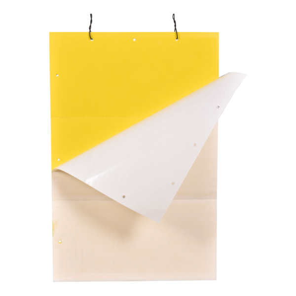 Yellow Insect Traps