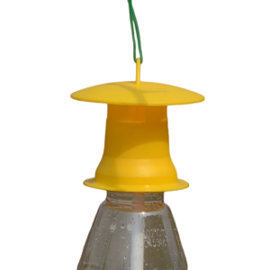 Pest Control Fruit Fly Trap