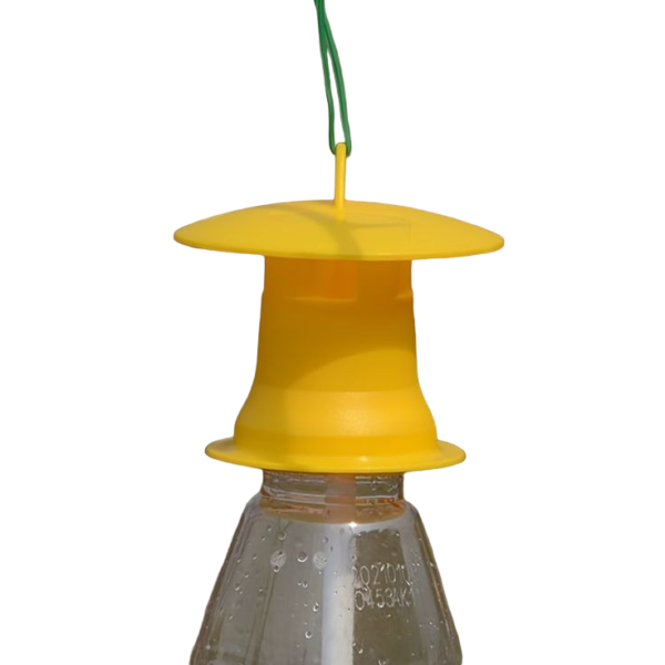Pest Control Fruit Fly Trap