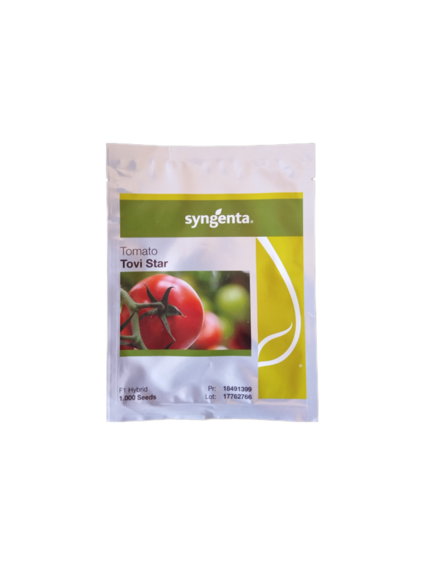 Syngenta Tomato Tovi Star