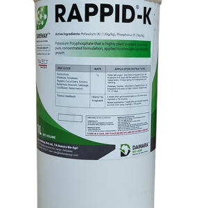 Rappid-K