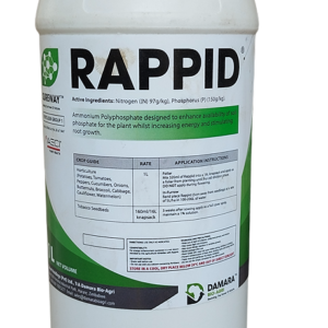 Rappid