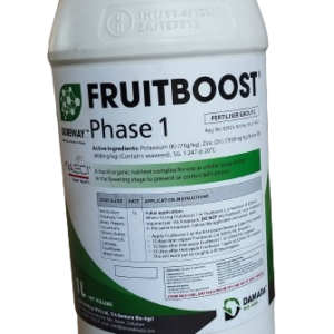 Fruitboost Phase 1
