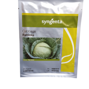 Syngenta Cabbage Fabiola