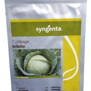 Syngenta Cabbage Intello