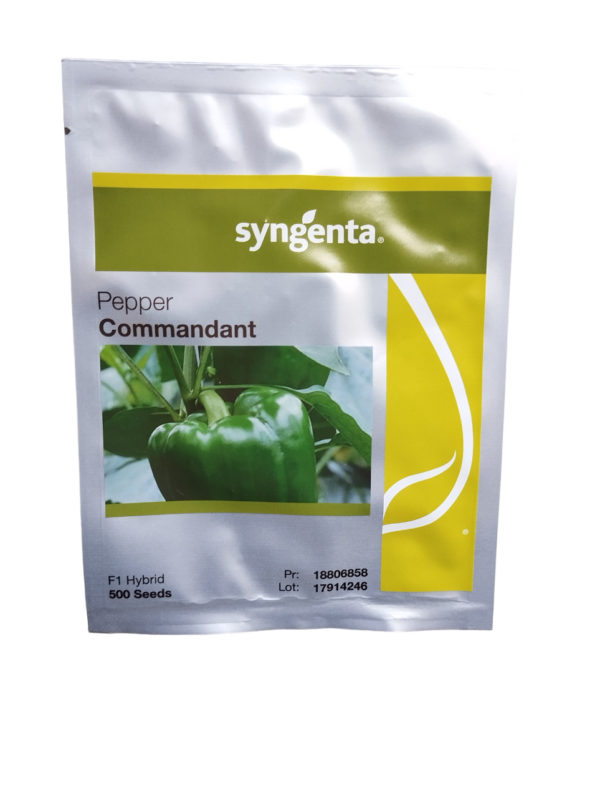 Syngenta Pepper Commandant