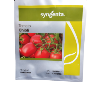 Syngenta Pepper Chibli