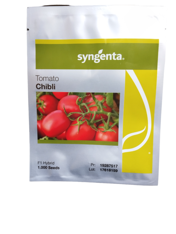 Syngenta Pepper Chibli