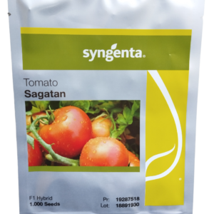 Syngenta Tomato Sagatan